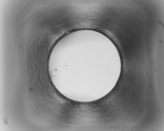 X0000102300481200808152021