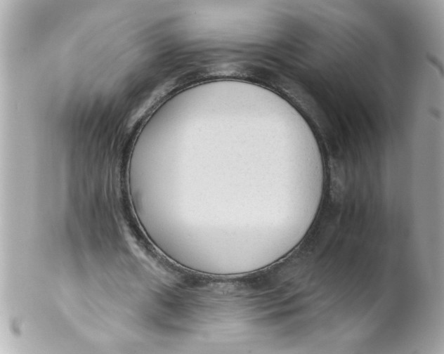 X0000102300482200808152021