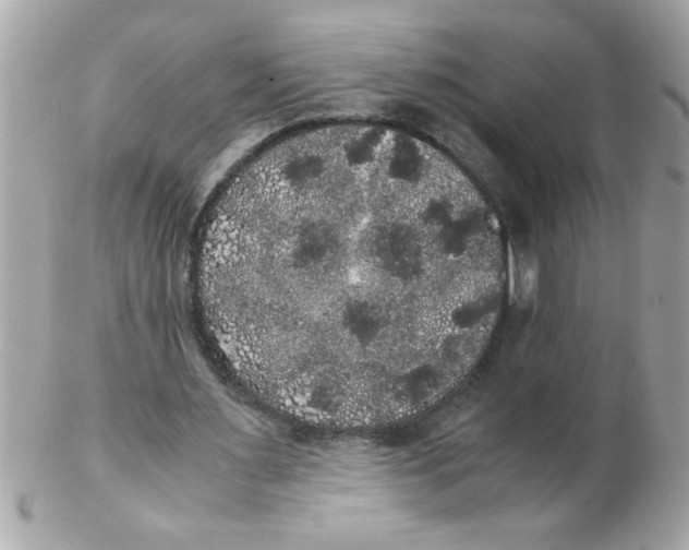 X0000102300483200808152021