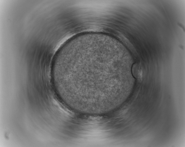 X0000102300484200808152021