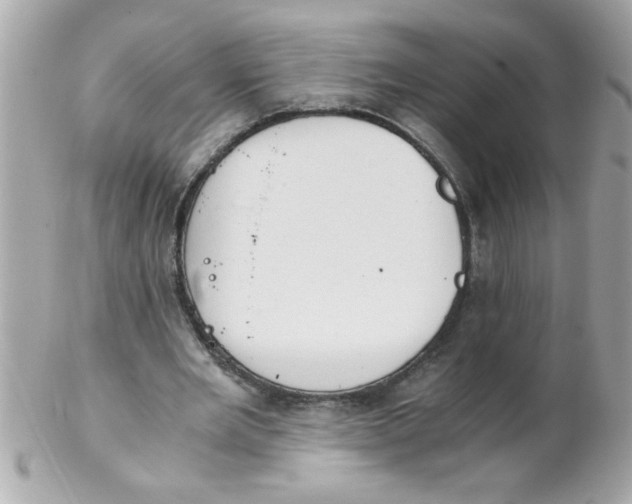 X0000102300485200808152021