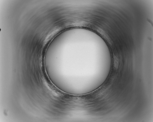 X0000102300486200808152021