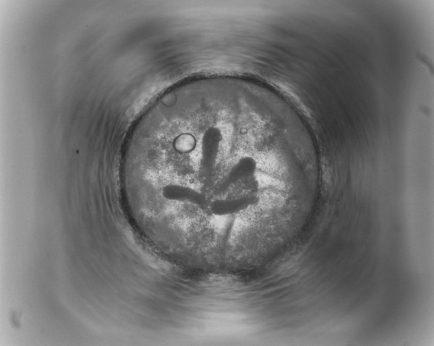 X0000102300487200808152021