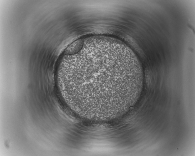 X0000102300488200808152021