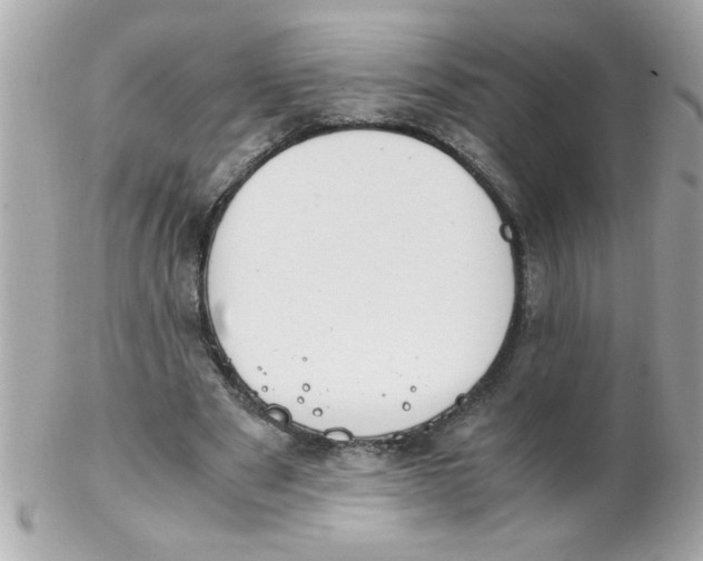 X0000102300489200808152021