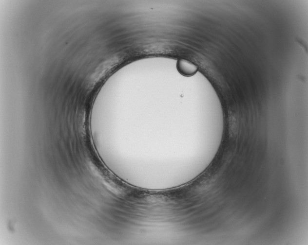 X0000102300490200808152021