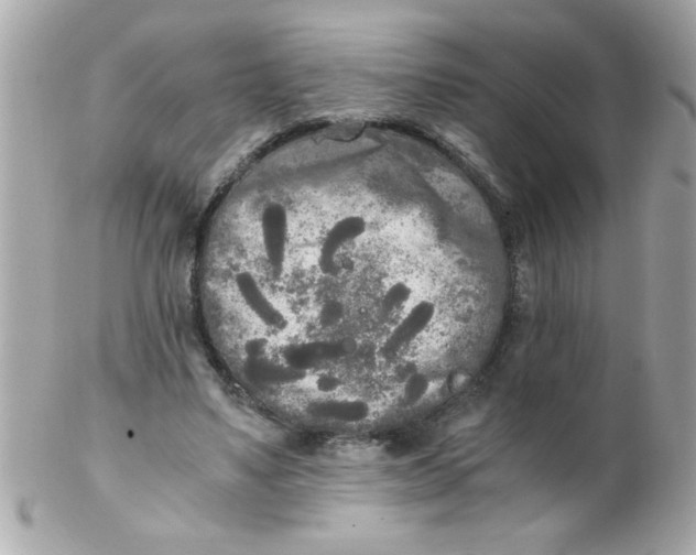 X0000102300491200808152021
