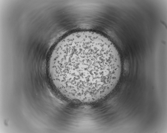 X0000102300492200808152021