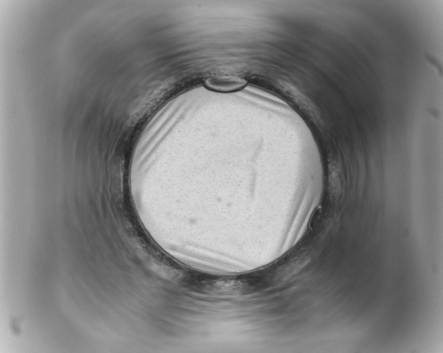 X0000102300493200808152021