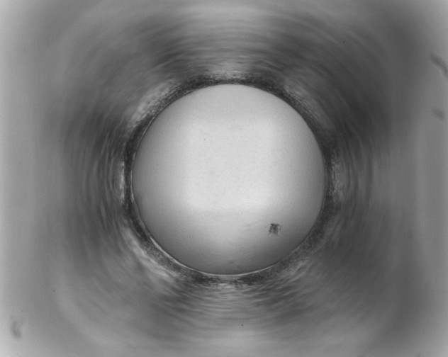 X0000102300494200808152021