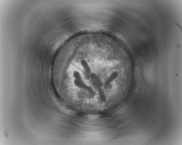 X0000102300495200808152021
