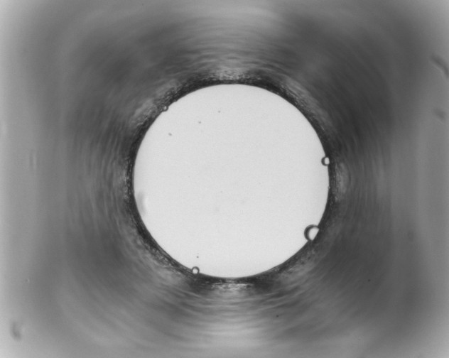 X0000102300497200808152021