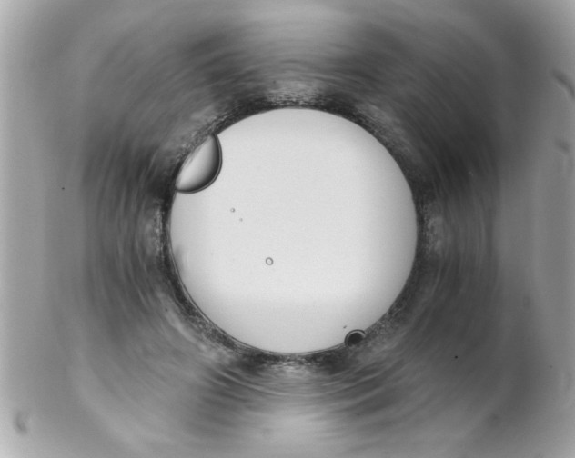 X0000102300498200808152021