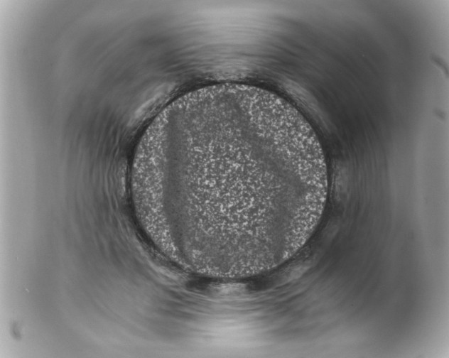 X0000102300501200808152021