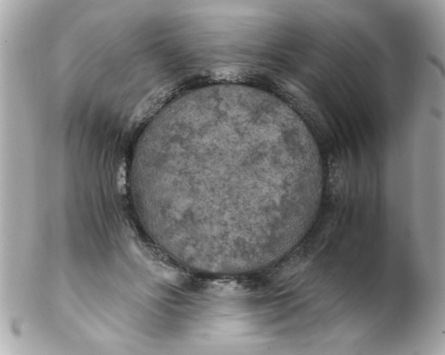 X0000102300502200808152021