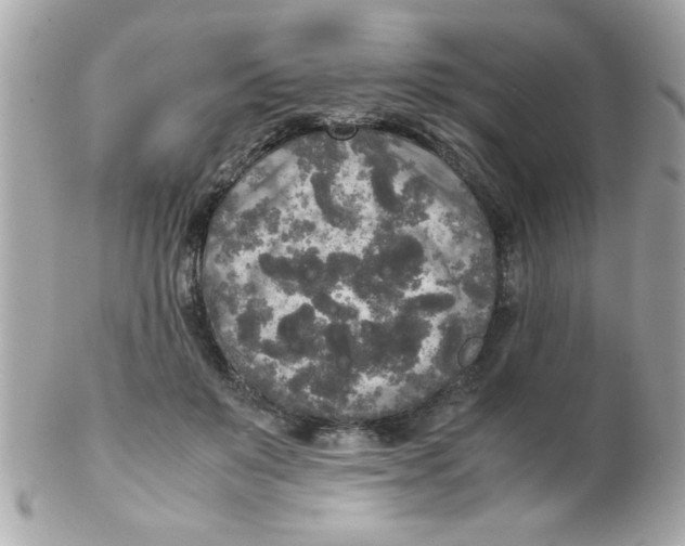 X0000102300503200808152021