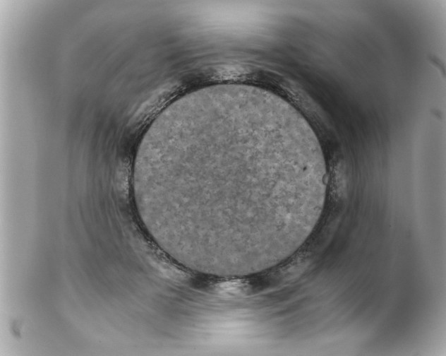 X0000102300505200808152021