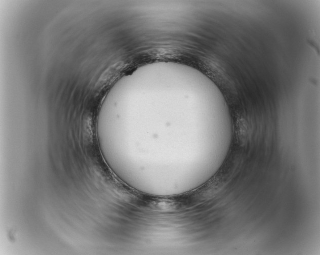 X0000102300506200808152021