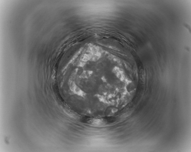 X0000102300507200808152021