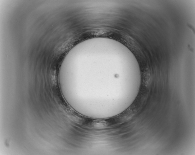 X0000102300510200808152021
