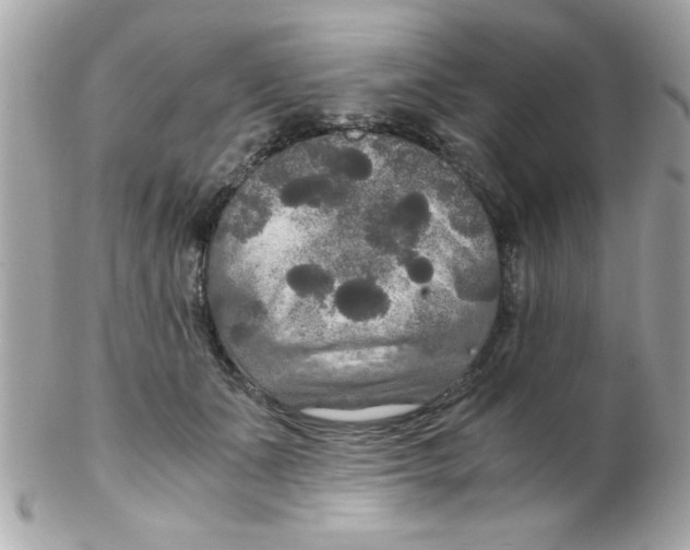X0000102300511200808152021