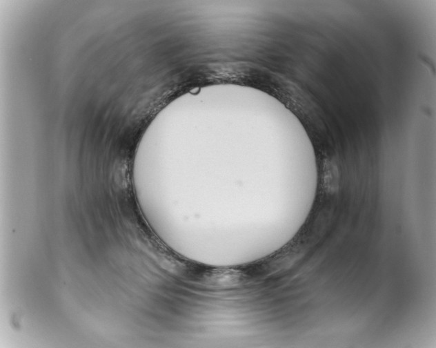 X0000102300514200808152020