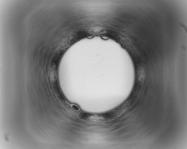 X0000102300515200808152020