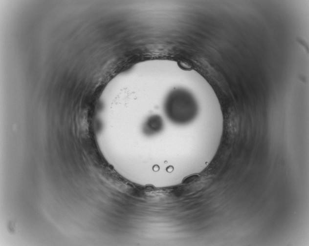 X0000102300516200808152020