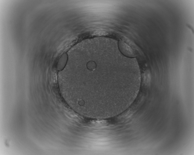 X0000102300517200808152020
