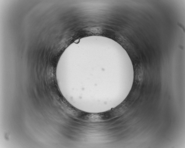 X0000102300518200808152020