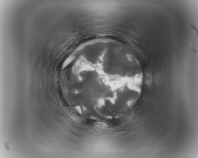 X0000102300519200808152020