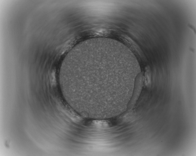 X0000102300520200808152020