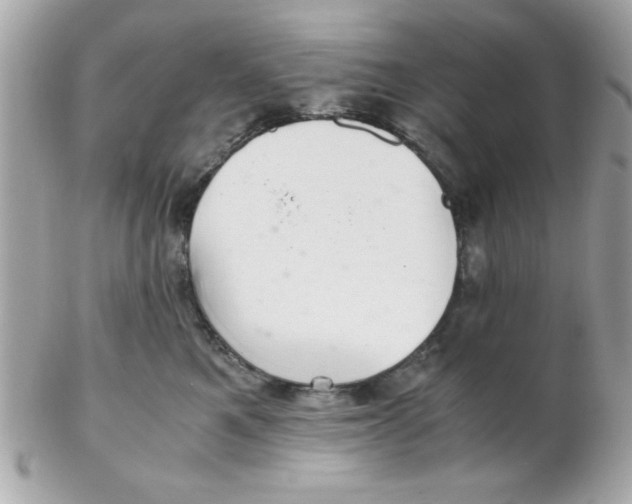 X0000102300521200808152020