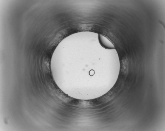 X0000102300522200808152020