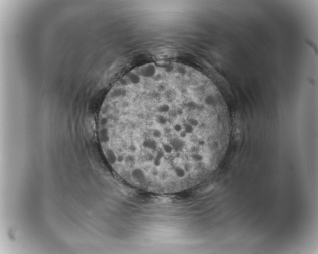 X0000102300523200808152020