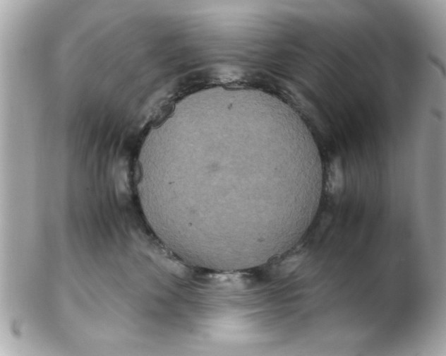 X0000102300524200808152020