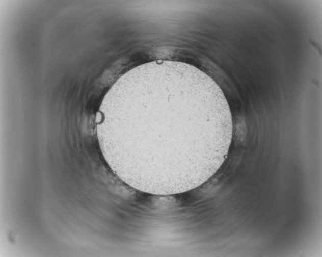 X0000102300525200808152020