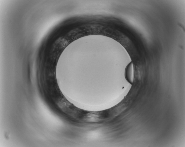 X0000102300526200808152020