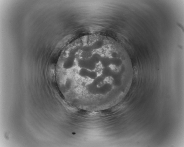 X0000102300527200808152020