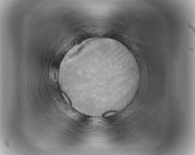 X0000102300528200808152020