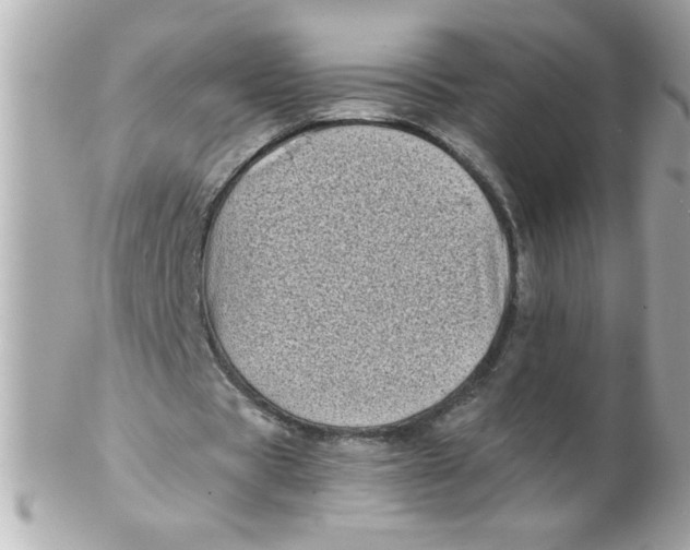 X0000102300529200808152020