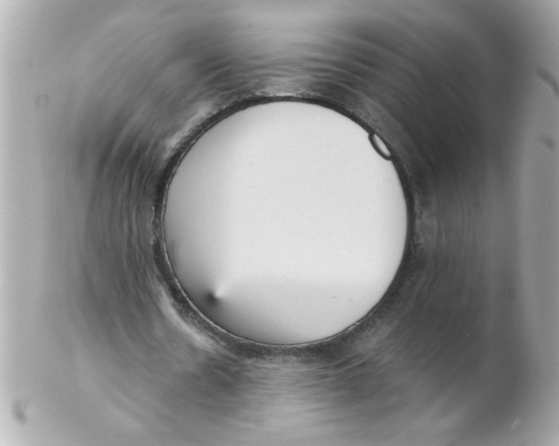 X0000102300530200808152020