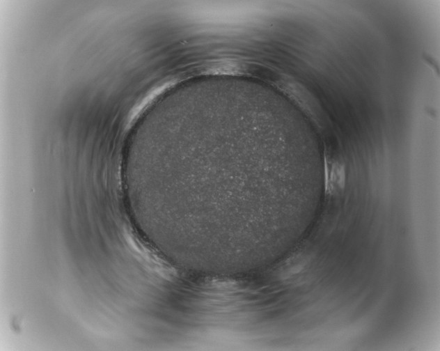 X0000102300531200808152020