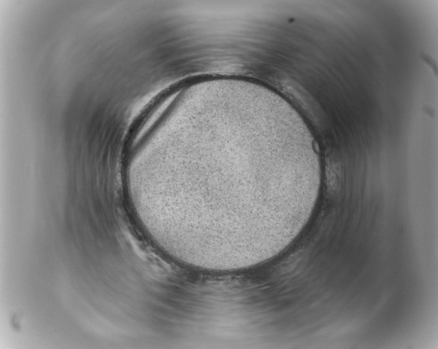 X0000102300532200808152020