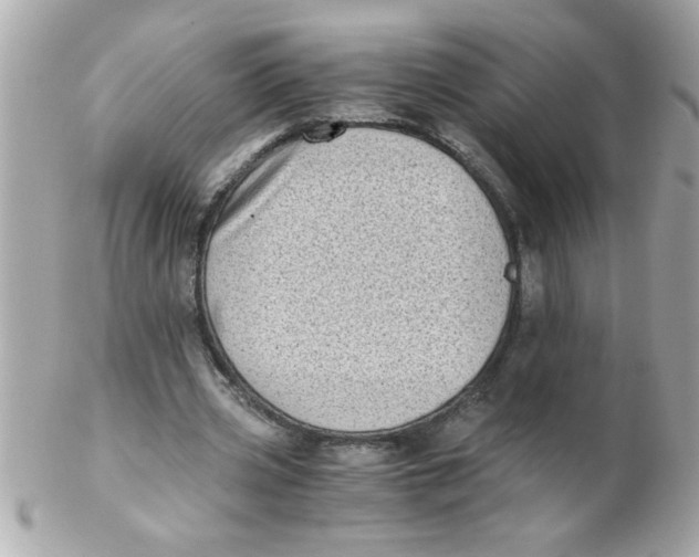 X0000102300533200808152020