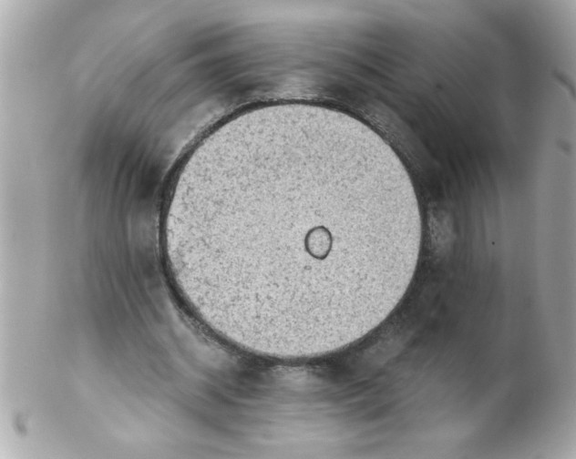X0000102300534200808152020