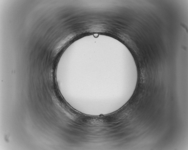 X0000102300535200808152020