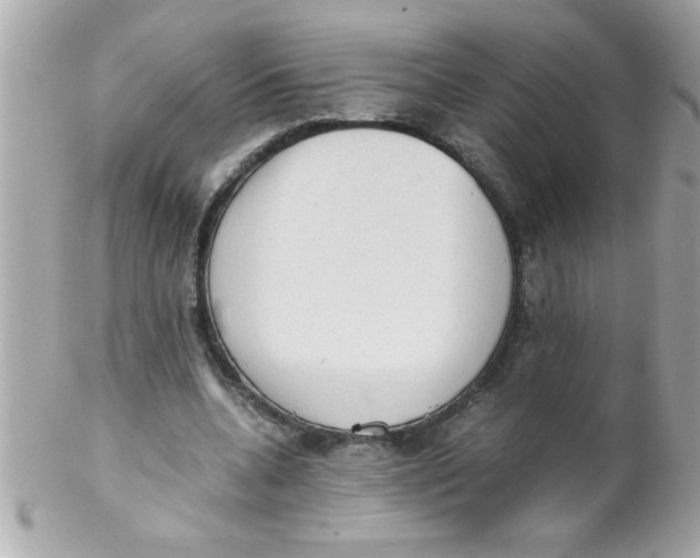 X0000102300536200808152020