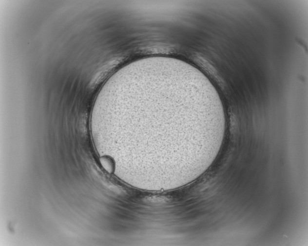 X0000102300537200808152020