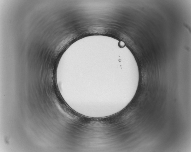 X0000102300538200808152020